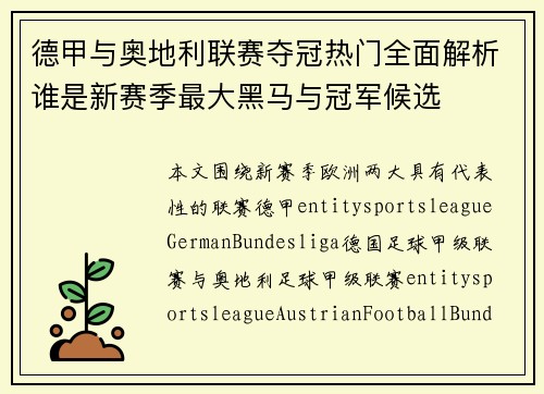 德甲与奥地利联赛夺冠热门全面解析谁是新赛季最大黑马与冠军候选